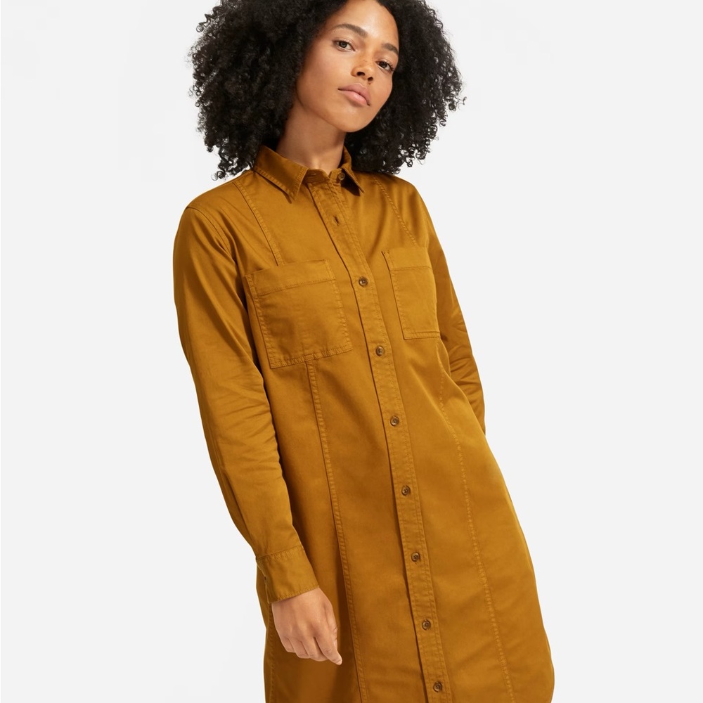 Modern Utility Shirtdress by Everlane - Picture 9 of 9